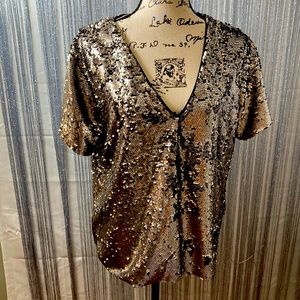 Anthropologie NWT Vanessa Virgina Silver Gray Sequin V Neck Top Blouse